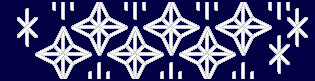 Ornaments on Navy